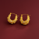 Load image into Gallery viewer, Dayo Gold Zircon Hoop Earrings