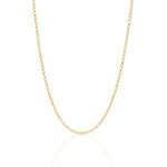 Load image into Gallery viewer, Vermeil Gold Plated Belcher Chain Necklace, neutral white background
